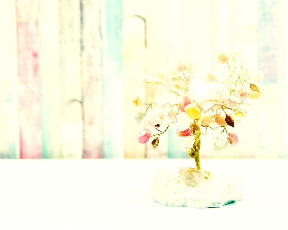 風水片付け講座